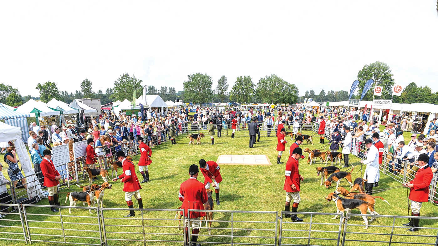 Peterb. Foxhound Show 17.07.19 17.07.19 Old English Foxhound ring G.V.