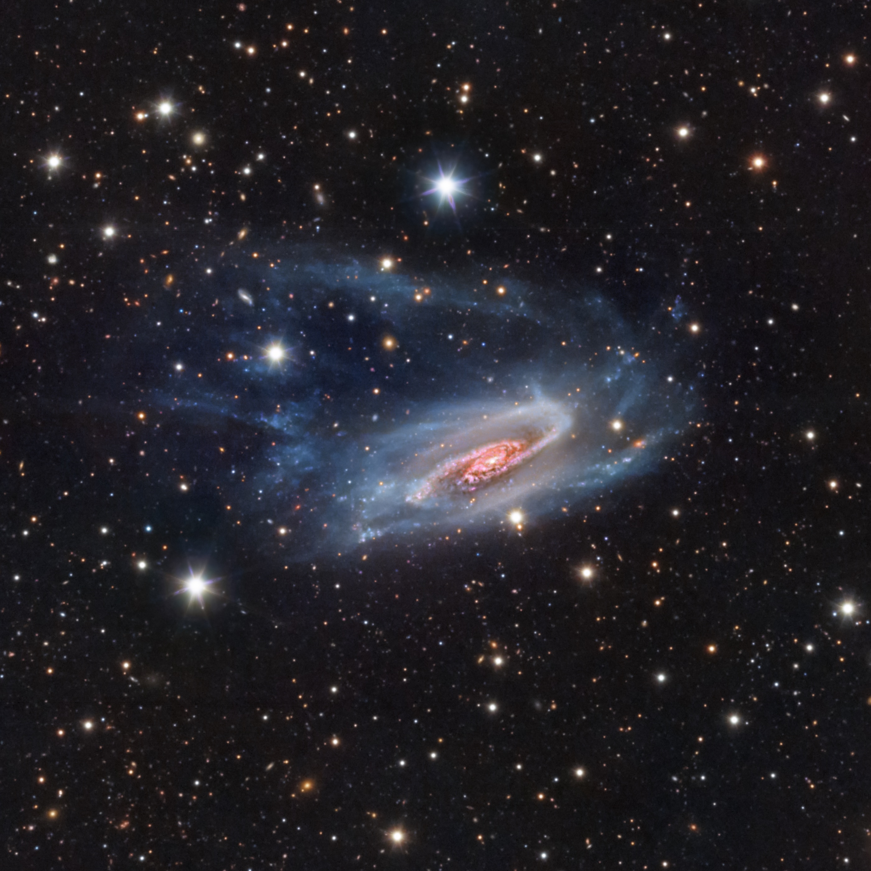 astronomy photographer of the year ngc 3981