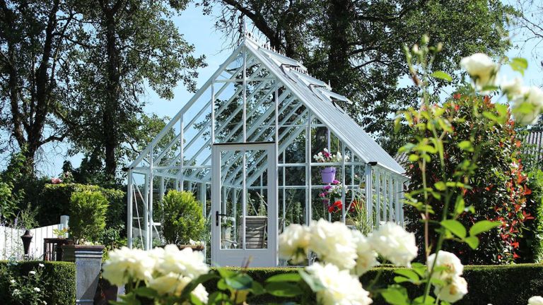 Greenhouse ideas featuring a classic greenhouse with white plants in front and tall trees behind.