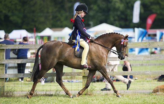 Faye Heppelthwaite and Royalview Tiara