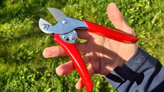The Wolf-Garten Anvil Pruner RSEN, with its blades and handles fully opened.