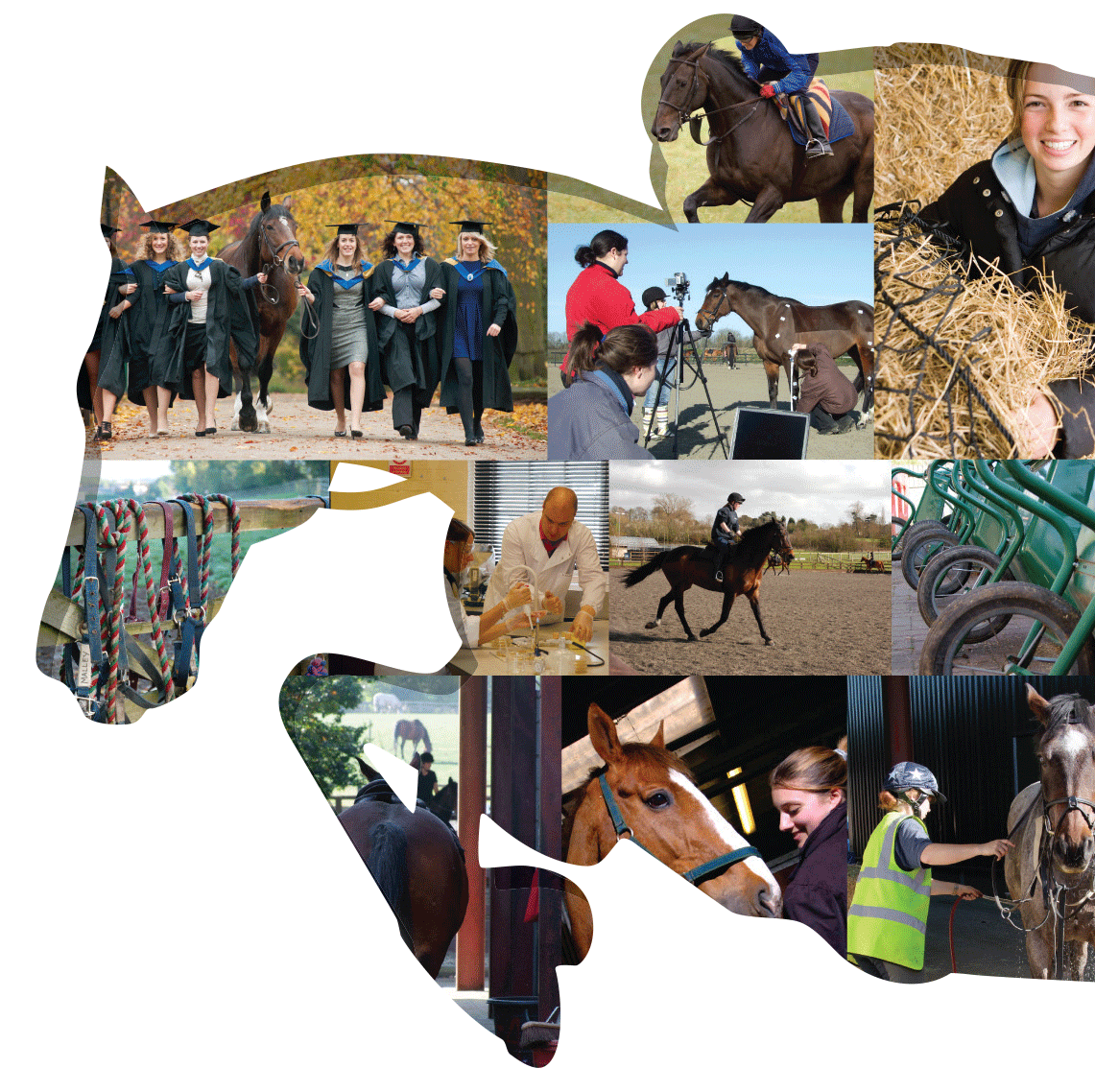 Warwickshire College logo