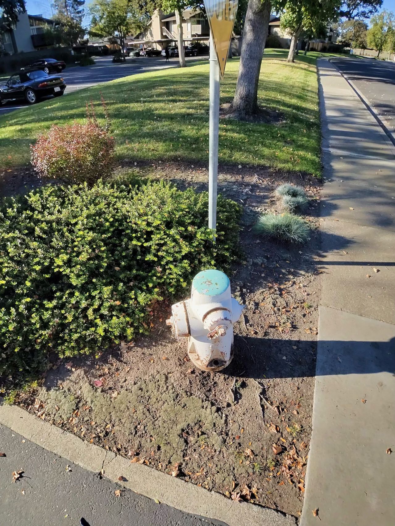 A photo of a fire hydrant taken with the Oakley Meta Vanguard smart glasses.
