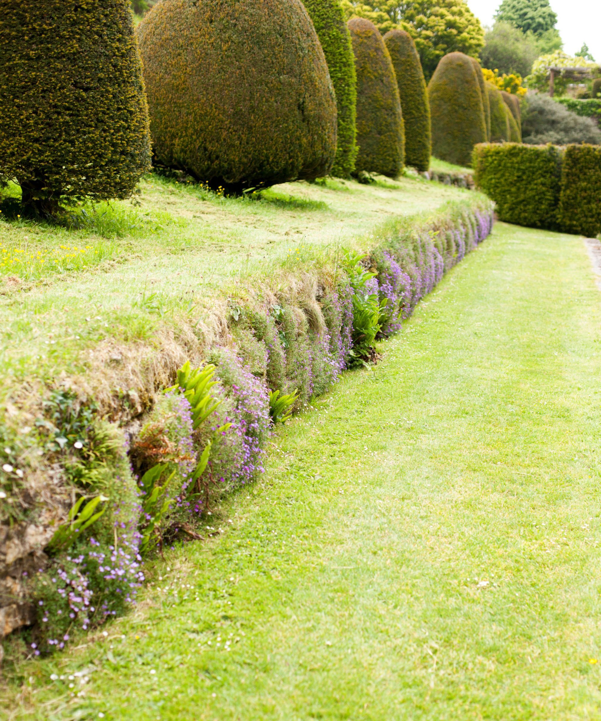 A ha-ha in a large english garden