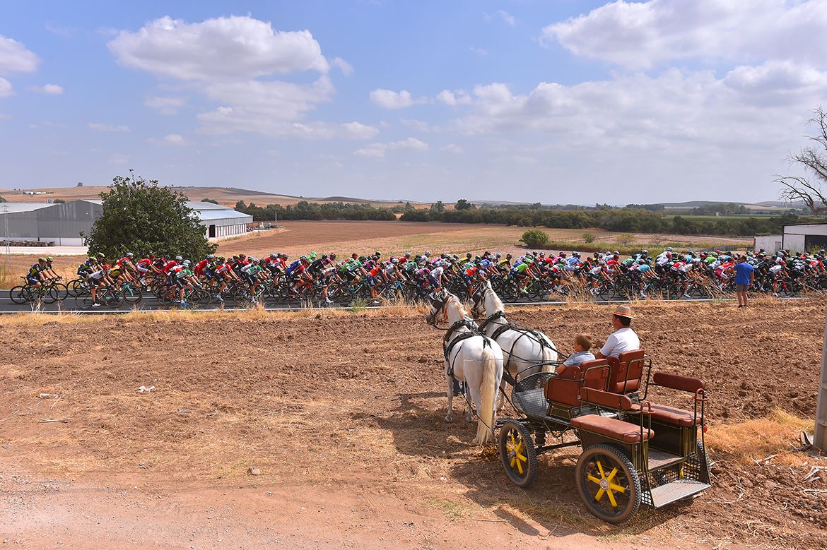 The Vuelta a Espa&ntilde;a peloton on stage 14
