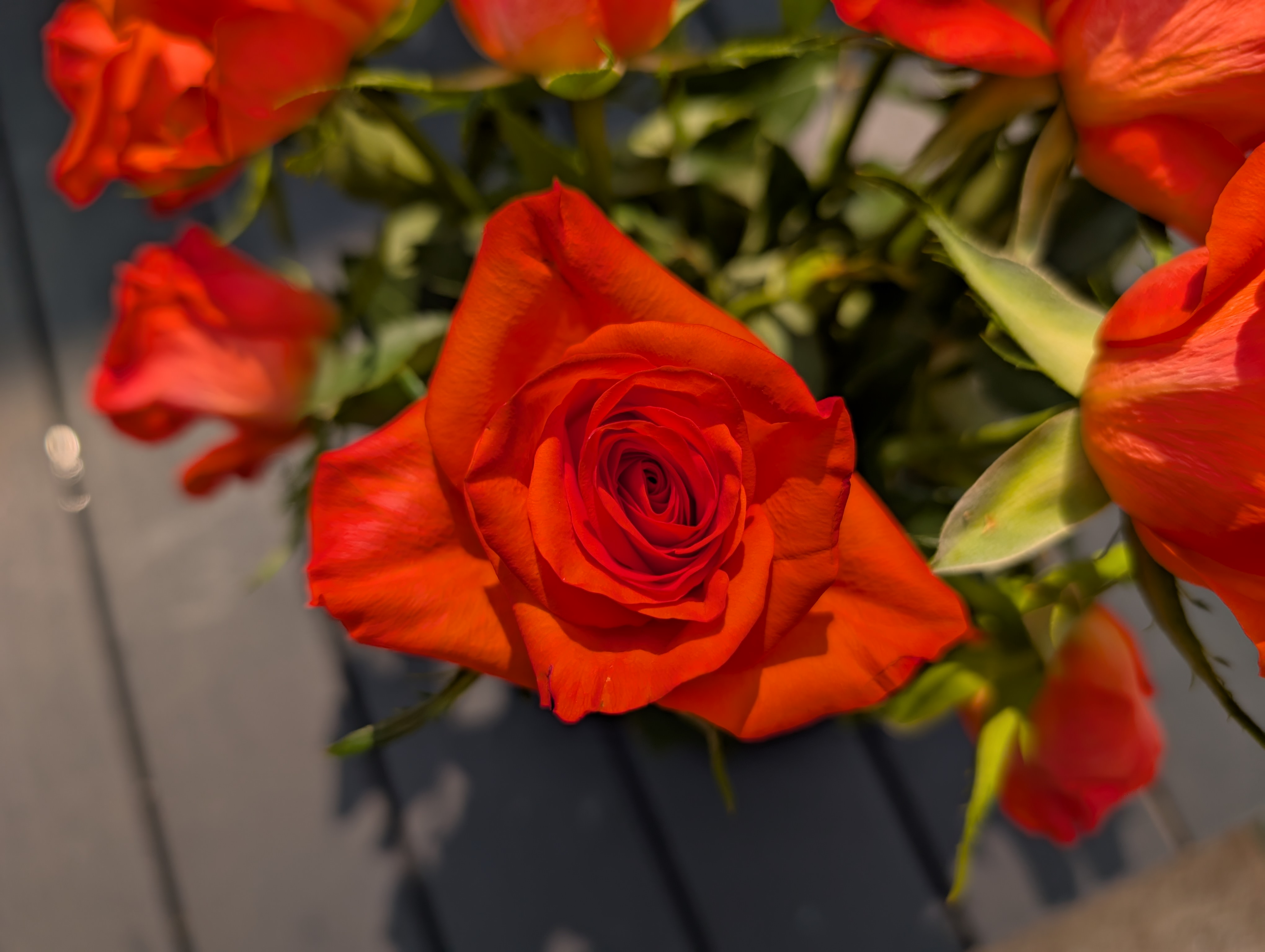 Google Pixel 9 Pro camera sample macro main