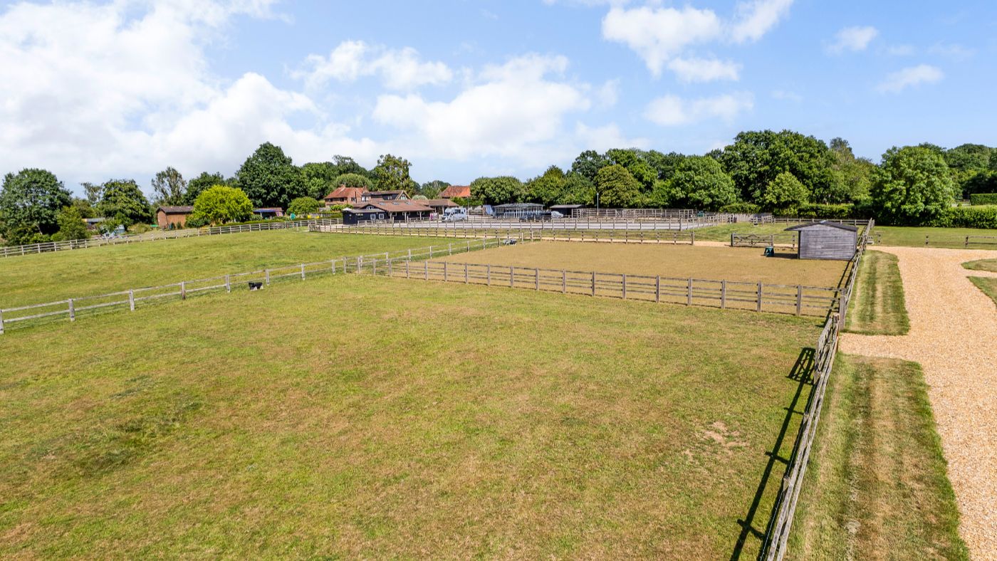 Guildenhurst Stud - Savills (13)