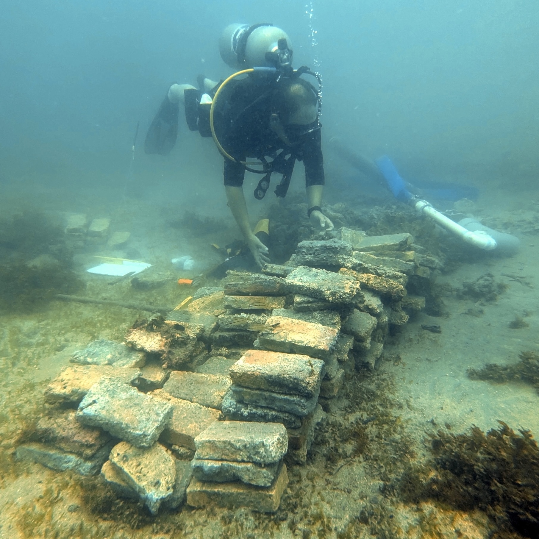a diver examines yellow bricks underwater
