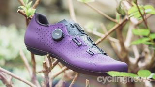 A single purple road shoe rests on a sparsely foliated shrub in the garden