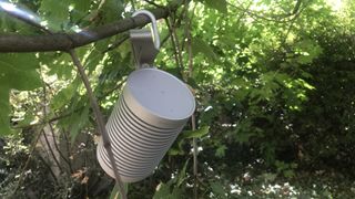 Bang & Olufsen Beosound Explore speaker attached to a tree branch