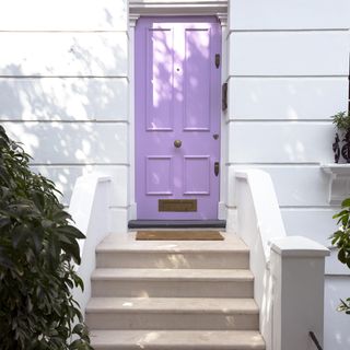 house entrance with purple door and plants