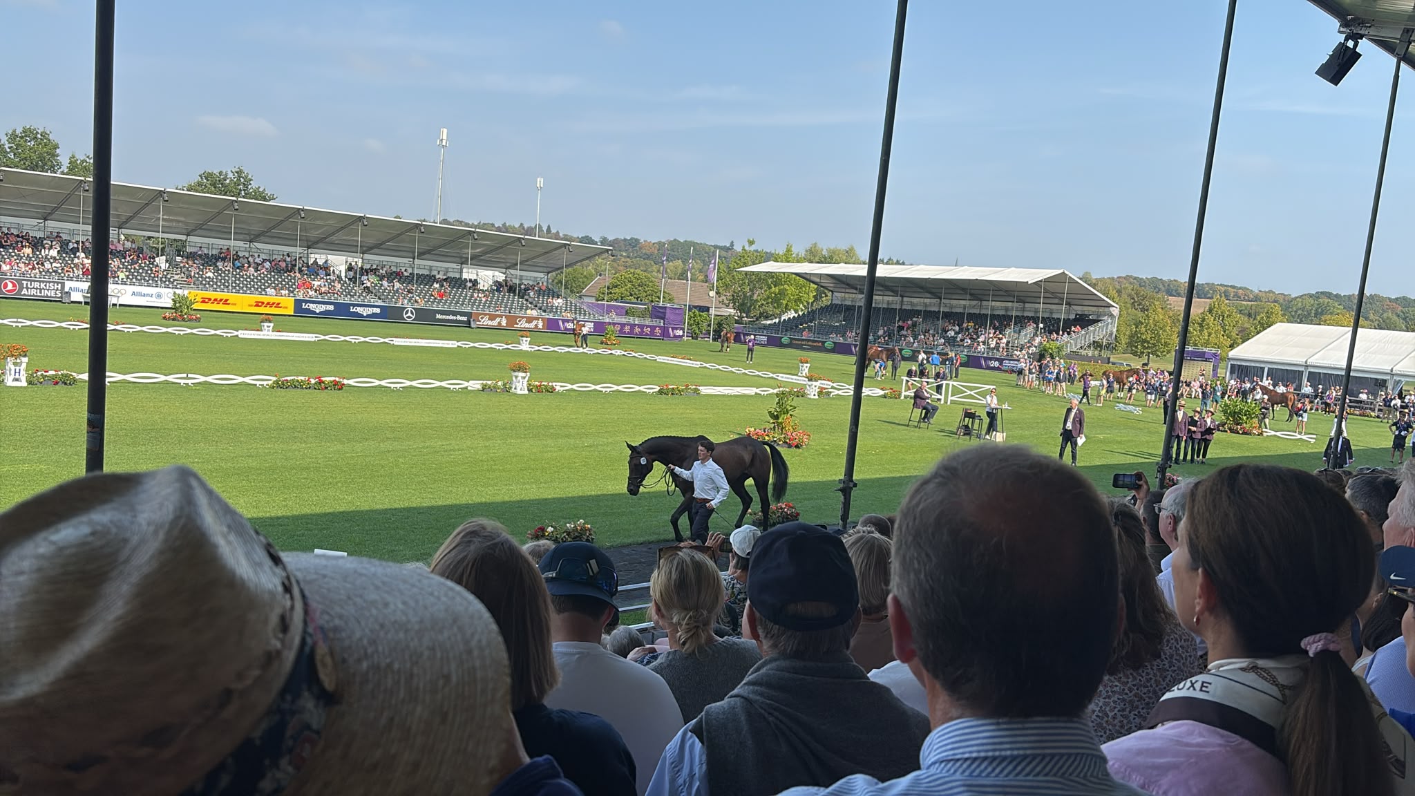 Bay horse trotting up in main arena at aachen world champs