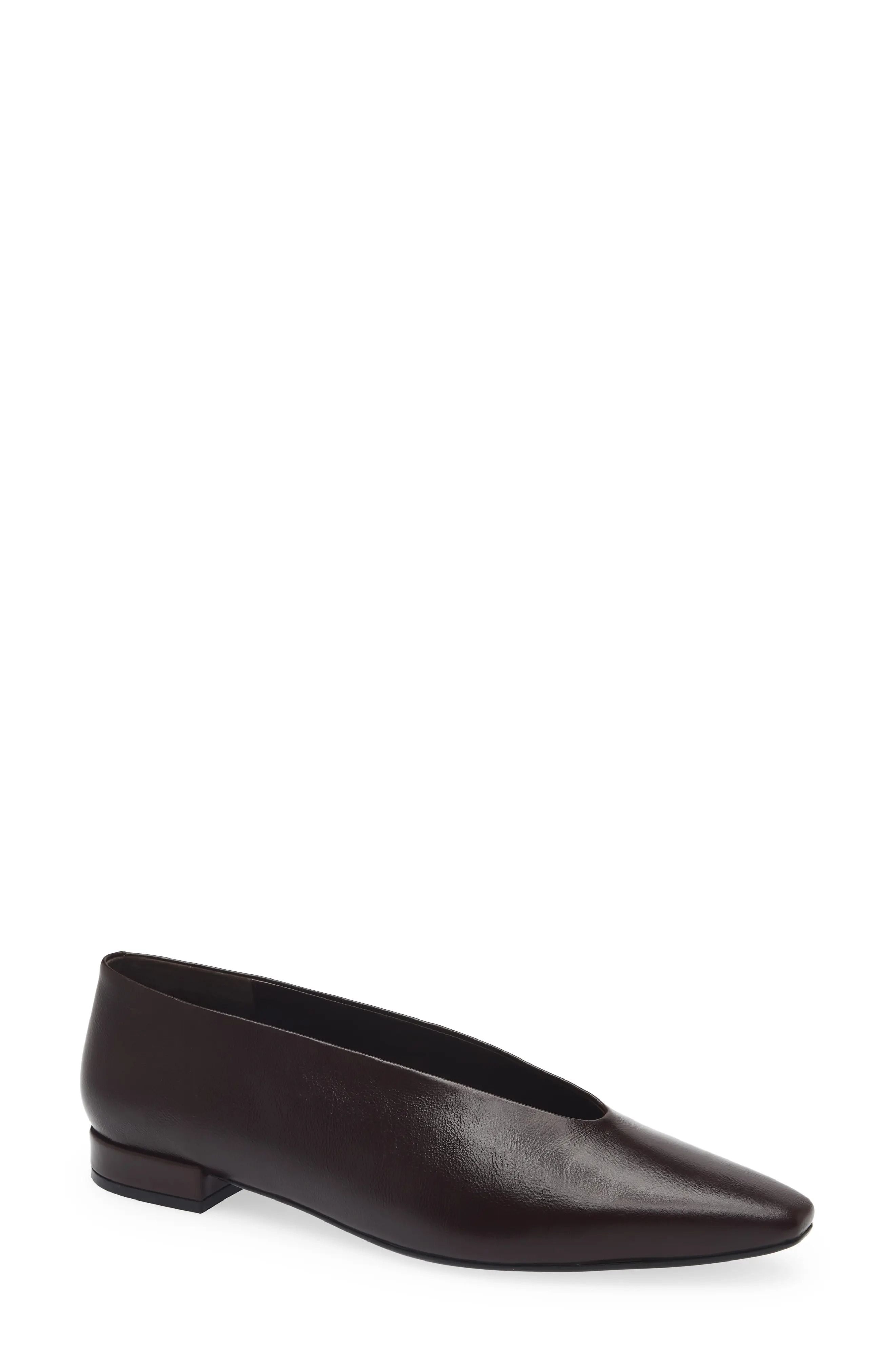 Hinted Pointed Toe Flat