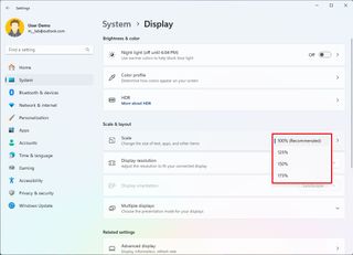 Windows 11 Scale Setting