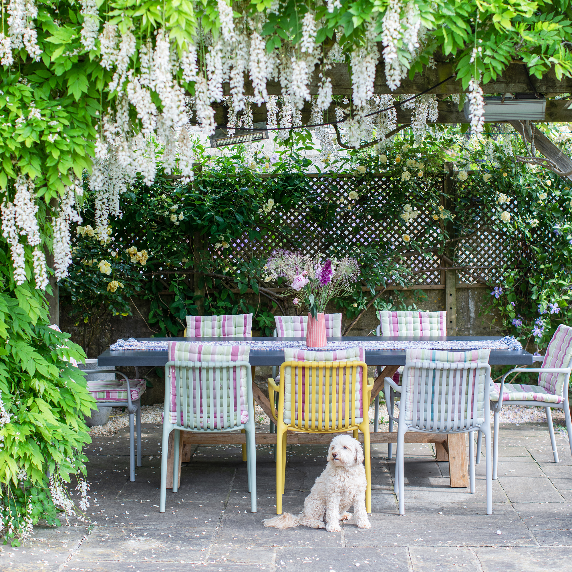outdoor dining area under a pergola covered in wisteria