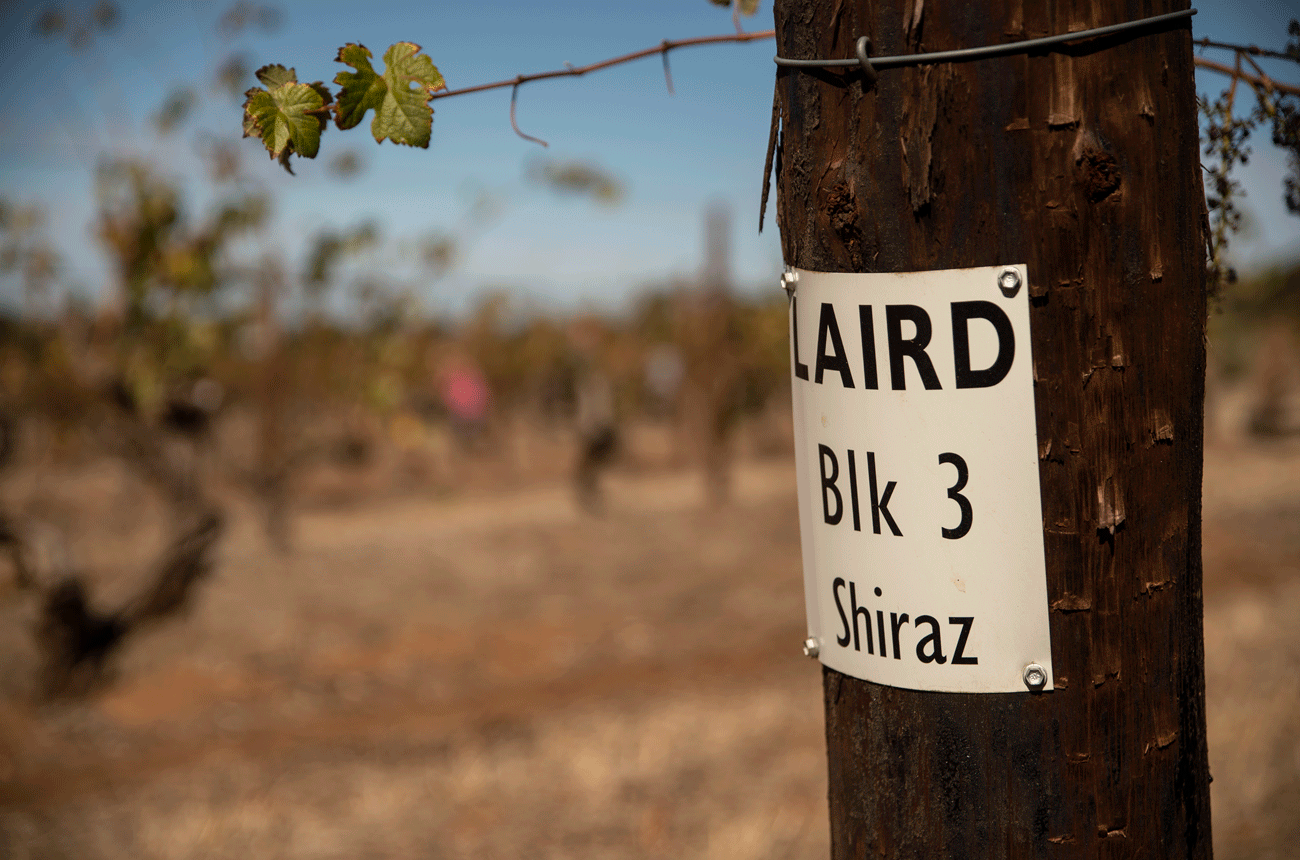 The Laird vineyard, Torbreck