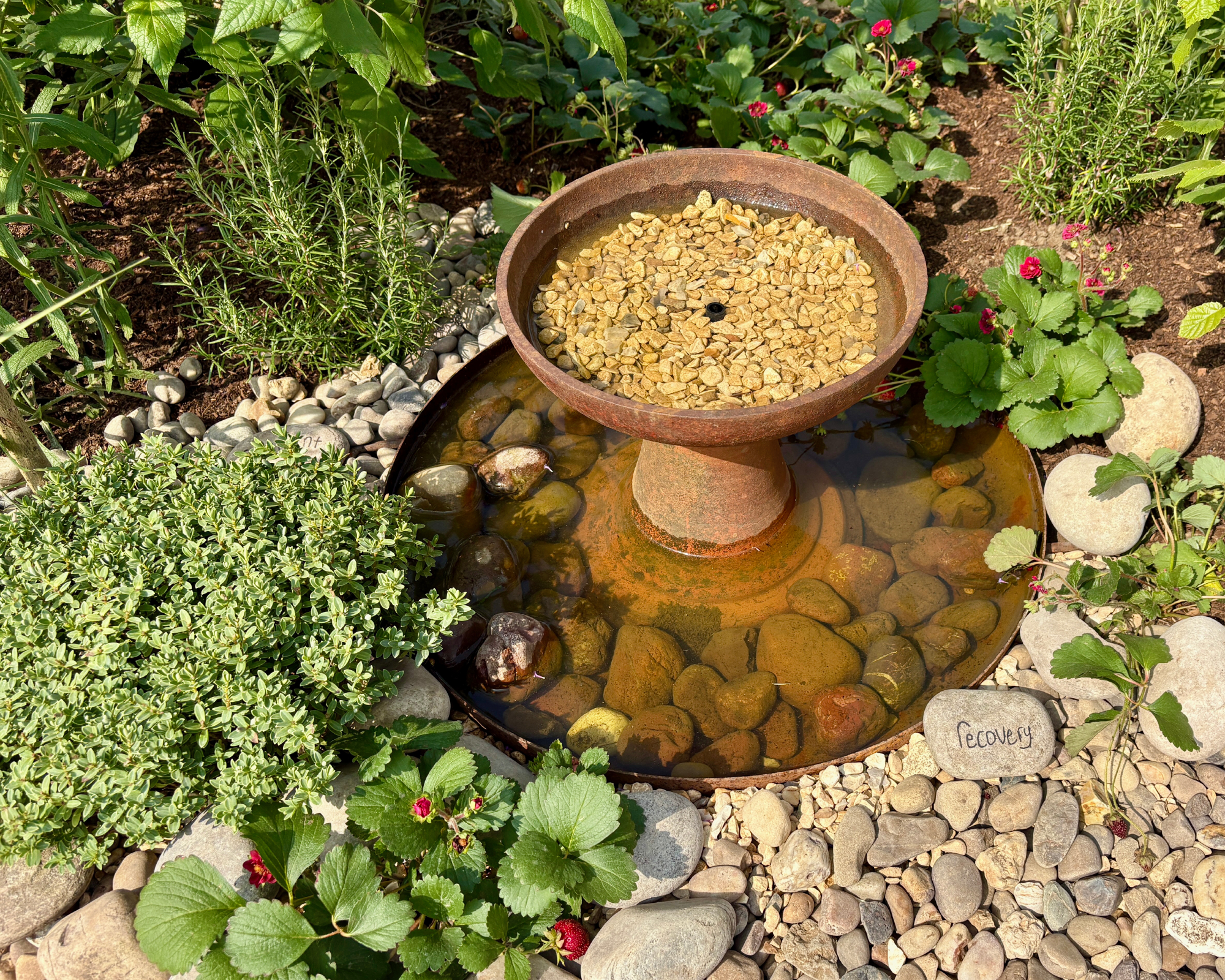 bird bath in a garden