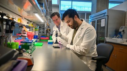 photo of two scientists in white lab coats and gloves working at a long lab bench