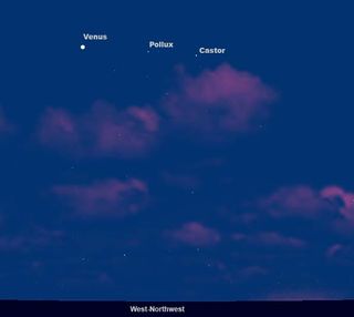 The Best Time to See Venus Is Now