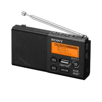 Sony XDR-P1