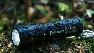 Olight mini flashlight on wet log