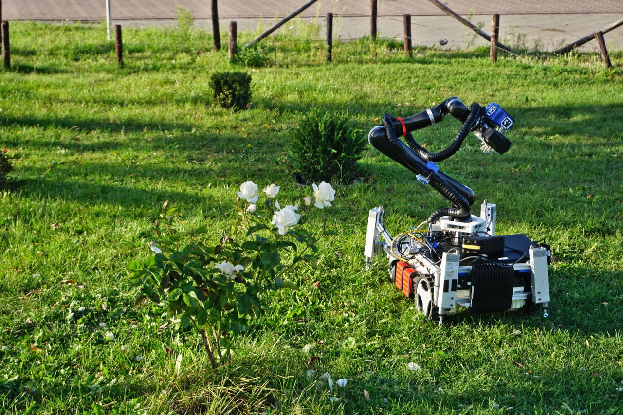 Gardening robot Trimbot trims topiaries