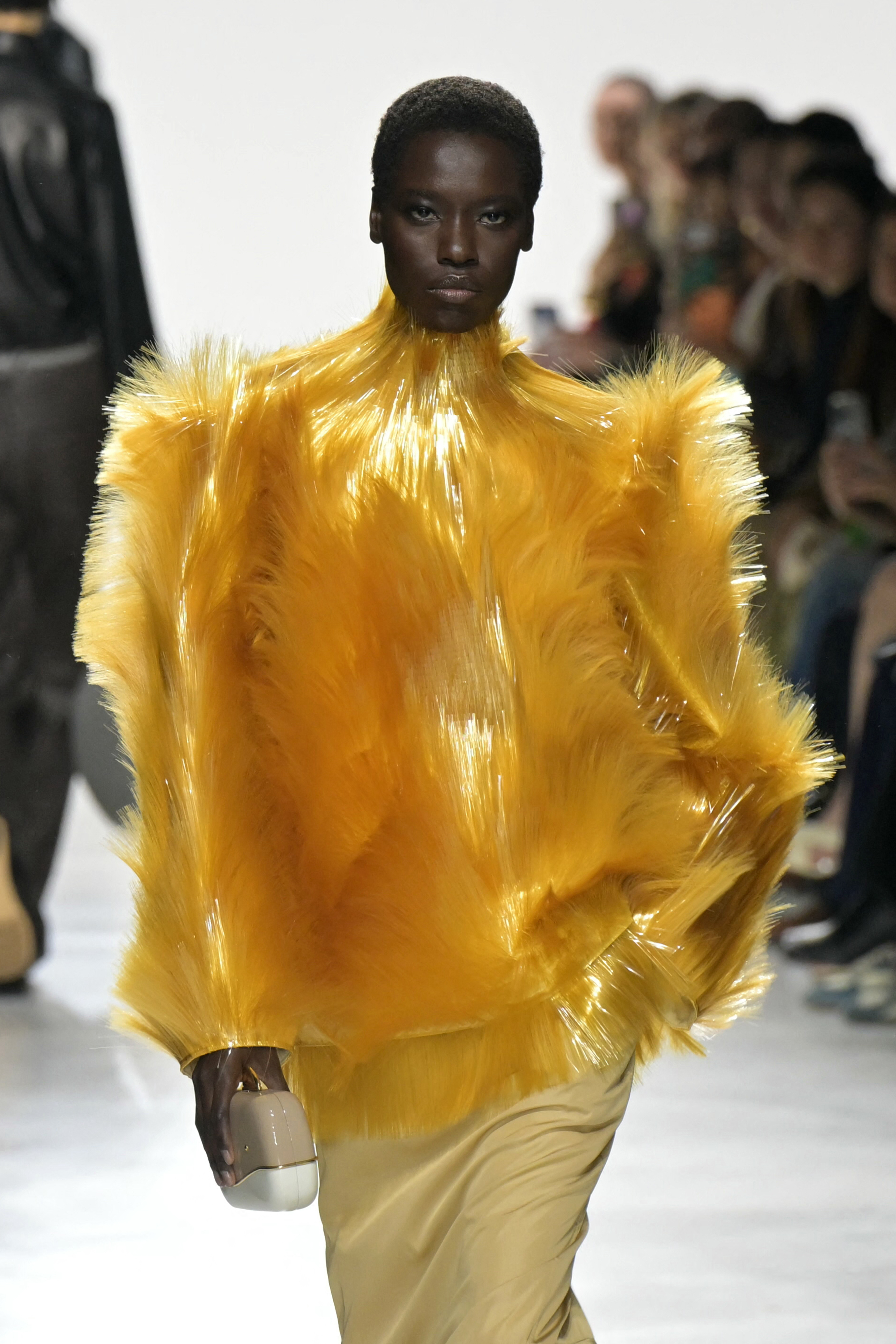 Bottega Veneta