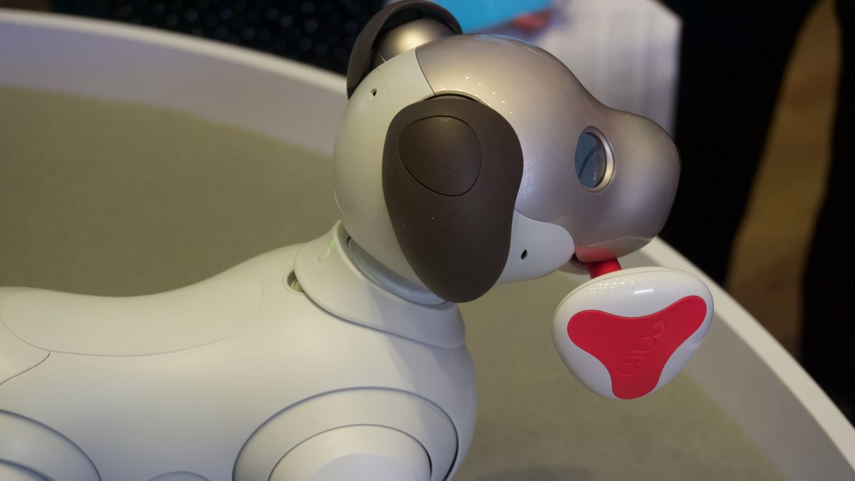 Hands on Sony Aibo review TechRadar