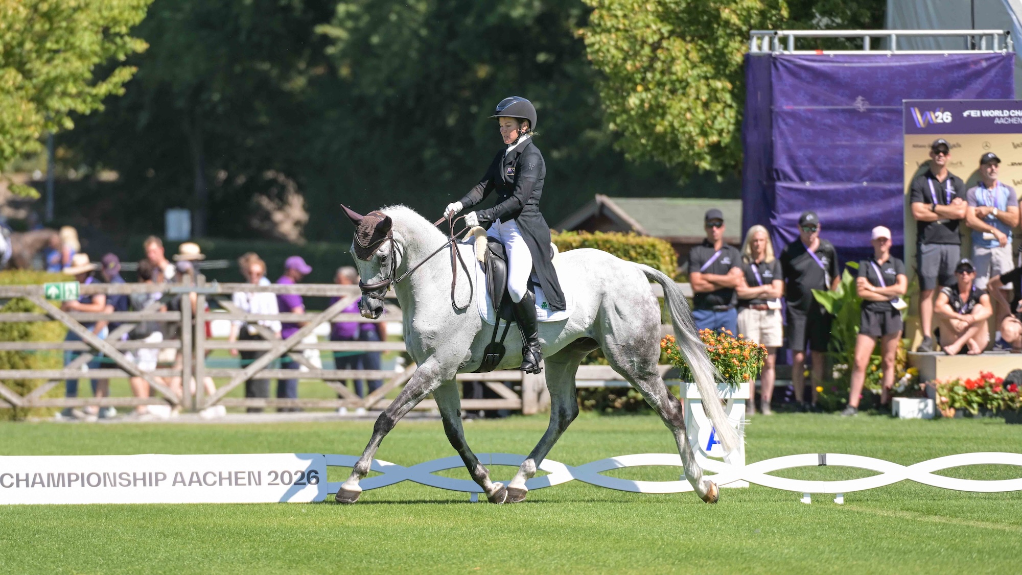 Image shows a grey horse performing a dressage movement in a grass arena, while spectators watch from afar