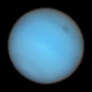 A view of Neptune with its recently observed dark spot visible toward the top right of the image, a sort of hazy smudge.