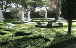 Manicured front yard landscaping with box hedges