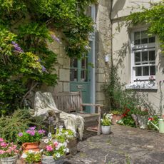 courtyard garden with climbing plants