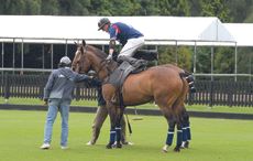 polo rules