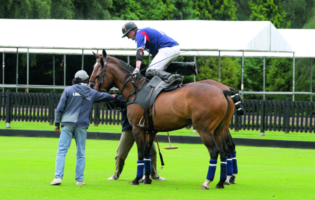 polo rules