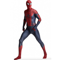 Spiderman Costume: View at Amazon