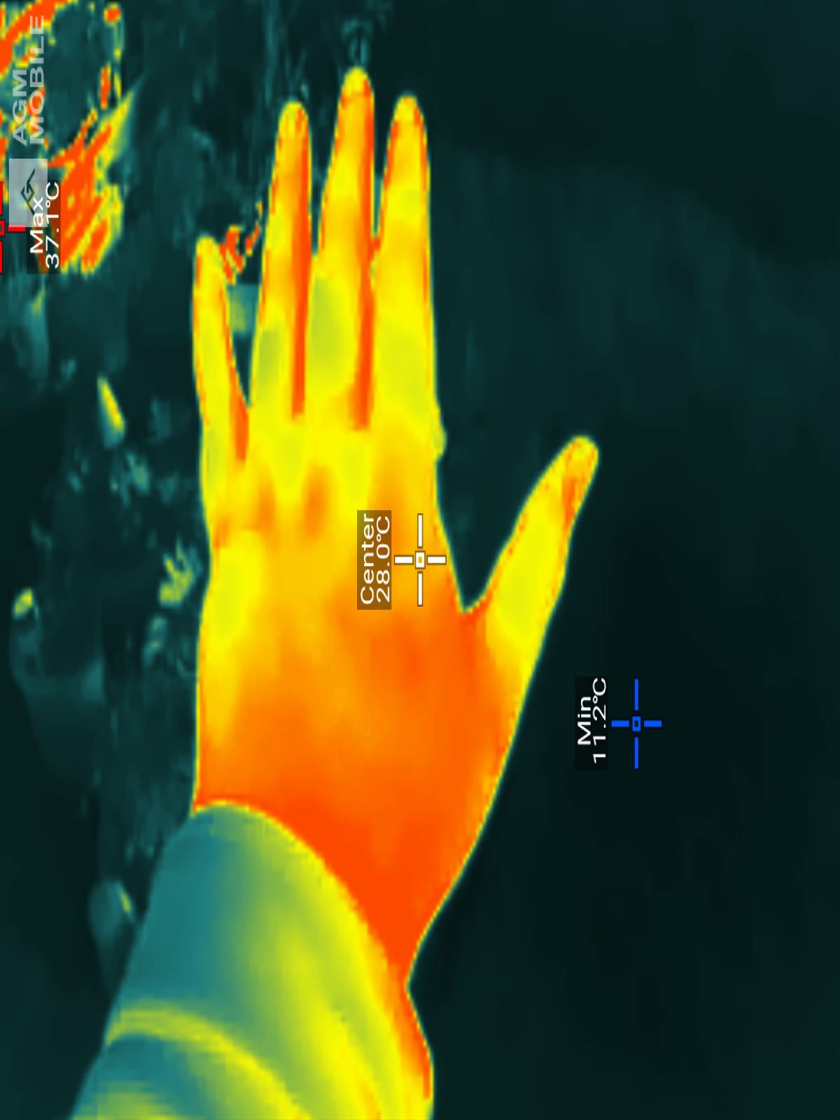 AGM G3 Pro photo and thermal examples