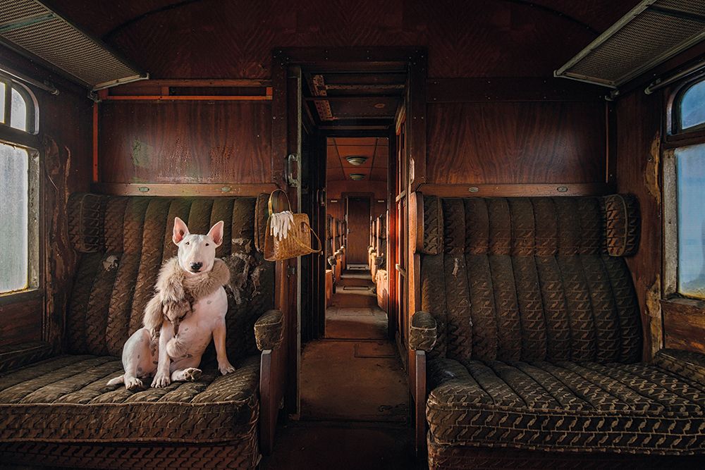 Transport &ndash; Nikon D800, 12-24mm f/4.5-5.6, 1/40 sec, f/11, ISO200