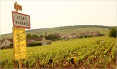 vosne romanee,