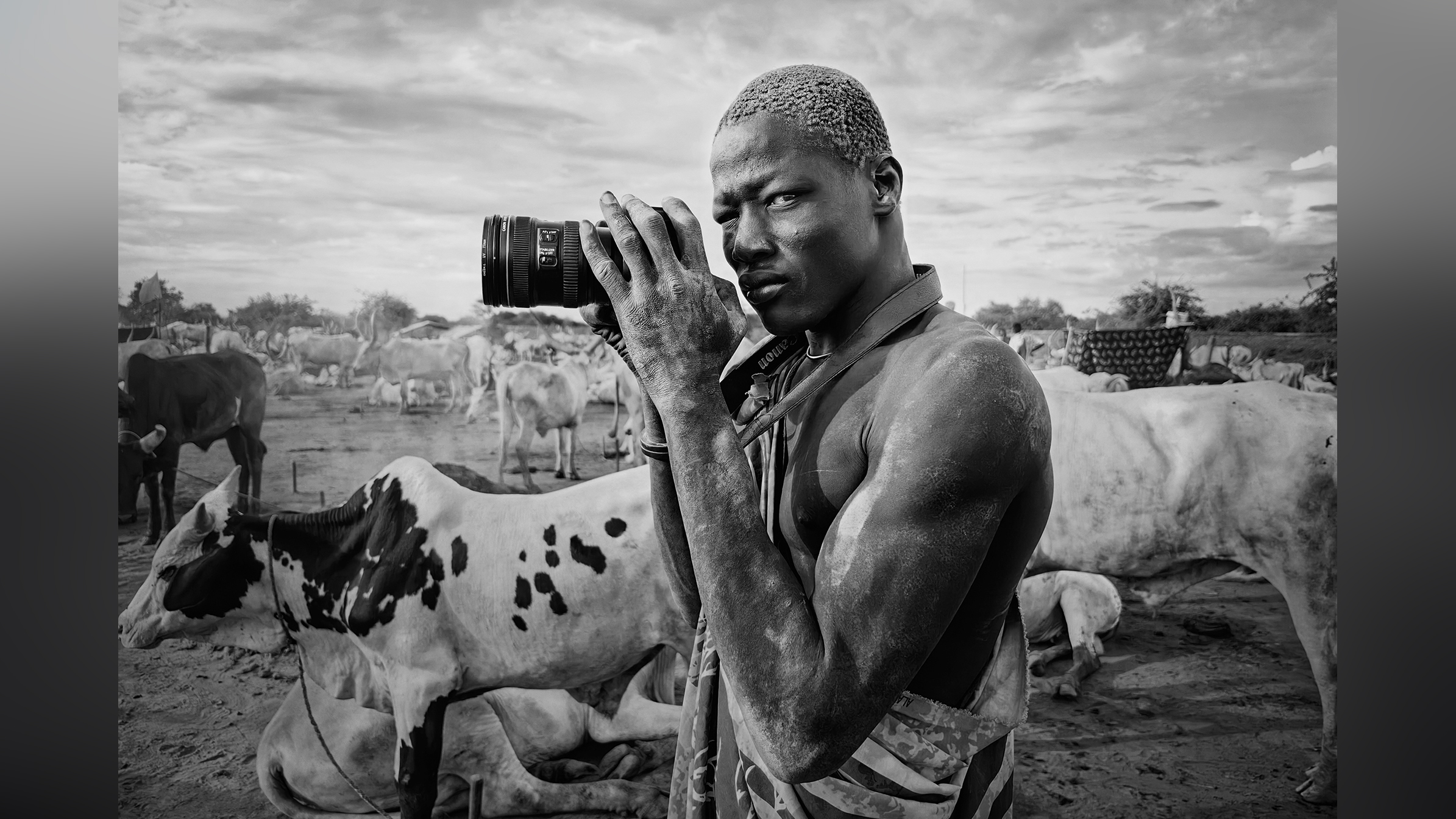 A man holding a camera stands among cows in a rural setting, captured in a dramatic black-and-white tone