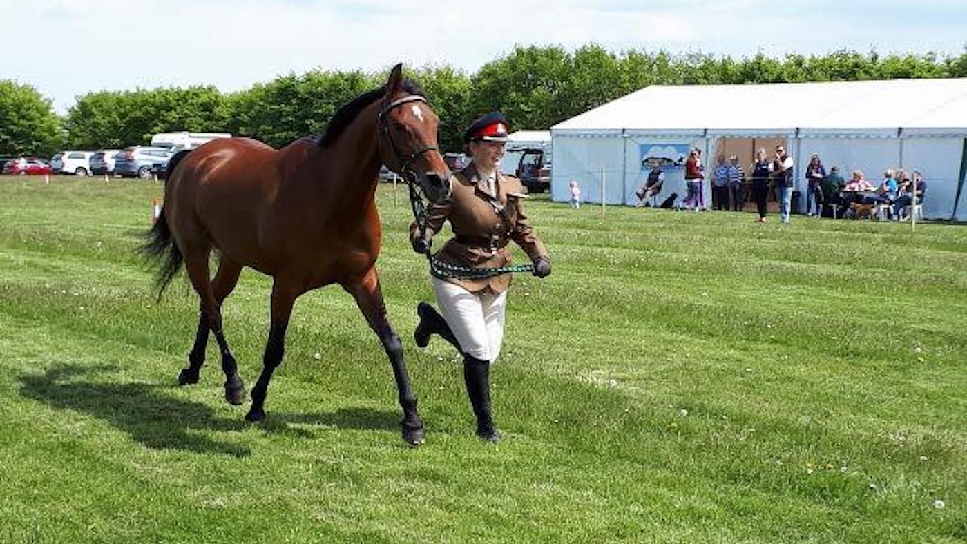 Shelley-Bates-trot-up-copy.jpg