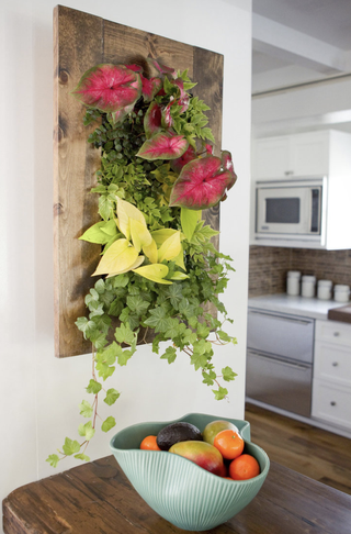 wall-mounted indoor plant growing system