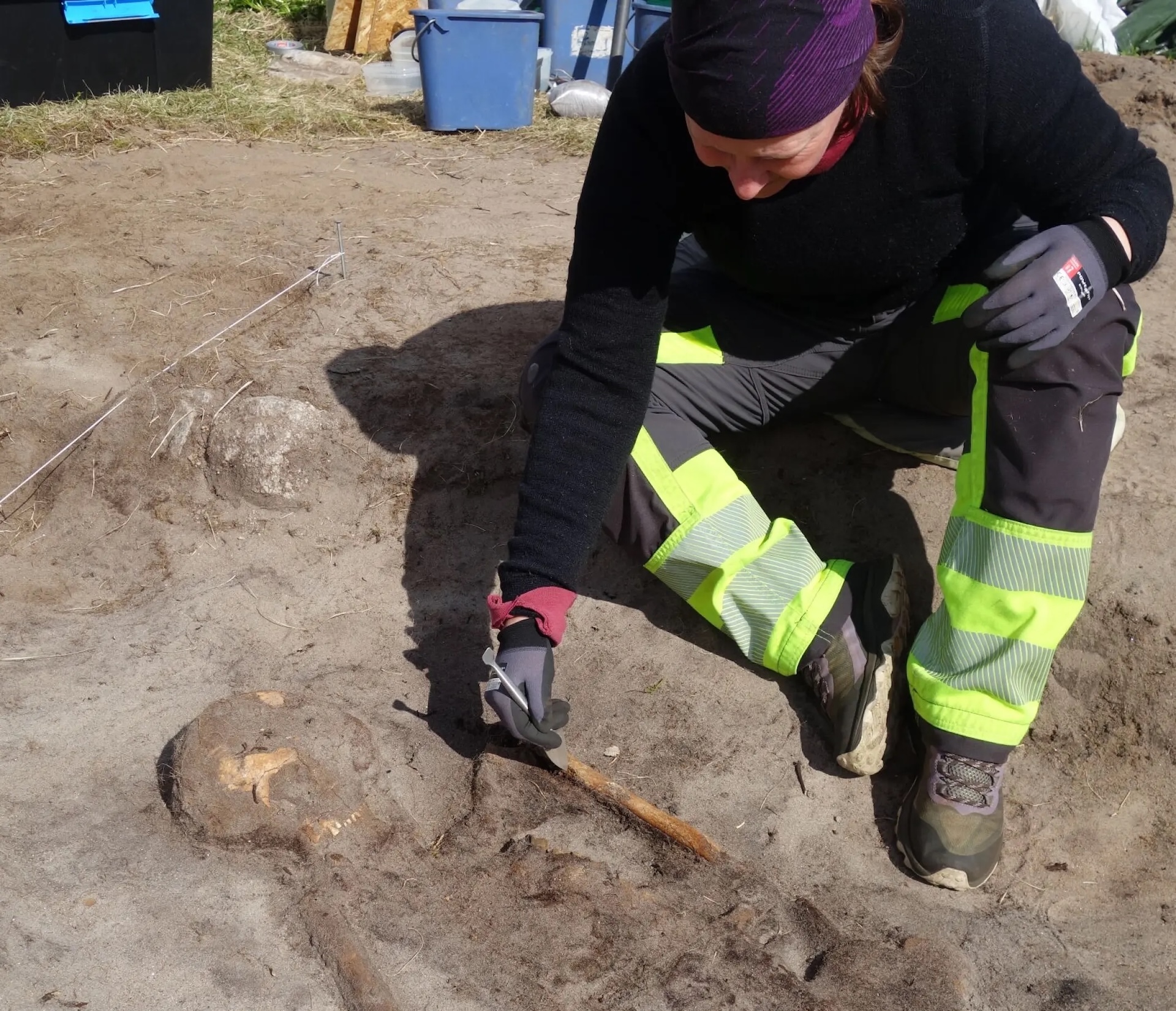 an archaeologist excavates a skeleton from a grave site