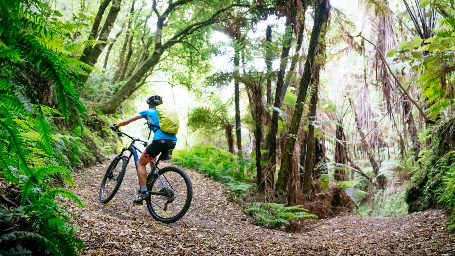 Great Lake Trail, New Zealand's North Island