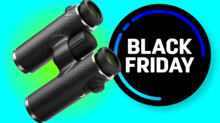 Swarovski CL Companion Habicht 10\00d730