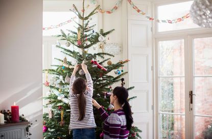 Lidl Christmas trees