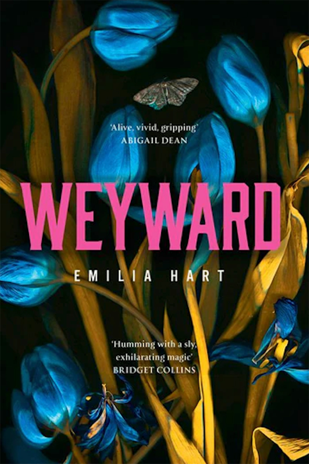 The front cover of Emilia Hart