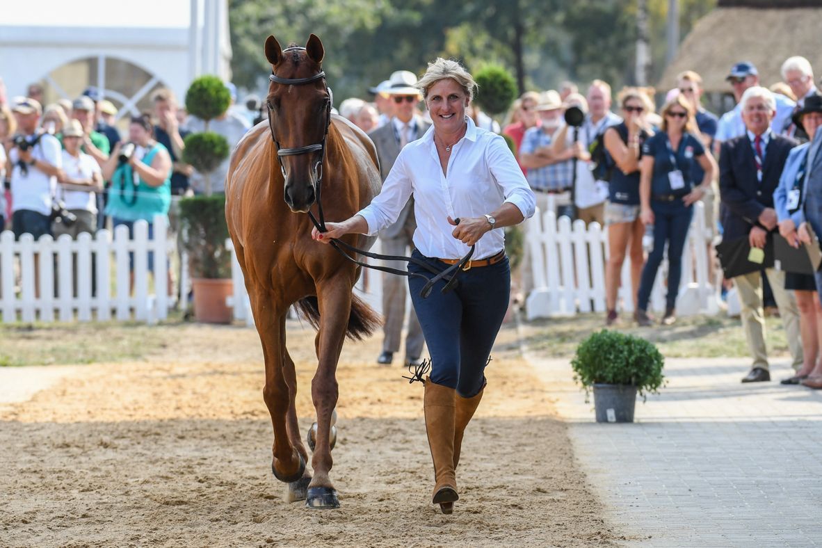 Tina Cook and Billy The Red at the first trot-up at the European Eventing Championships 2019.