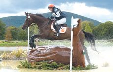 Granntevka Prince put down