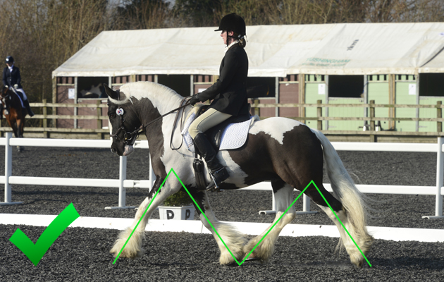 M SHAPE TROT