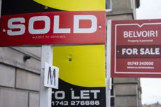 collection of for sale signs